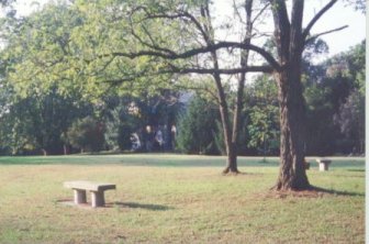 photo fo the bench on the grounds of Morningstar House of Prayer
